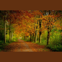 Between the Promise and the Fulfillment