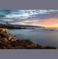 Jesus: the Resurrection and the Life