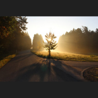 From Many, One – For Flourishing