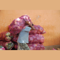 The Fellowship of HIS Suffering