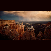 Free Grace Alone From the First to the Last