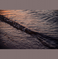 Learning for a Lifetime