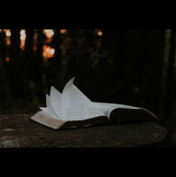 True News for a Fake News Culture