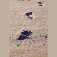 The Eyes and Face, the Heart and Hands of God