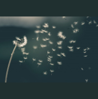 The Reckoning of What We Want and What We Have