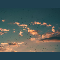 Such a Great Cloud of Witnesses