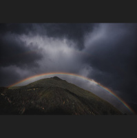 Taste and See That the LORD is Good!