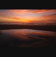 Living Grace and Peace