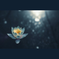 The King Who is Worthy and the People Whom He Serves