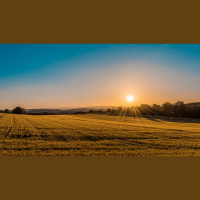 Renew: Christ’s Kingdom