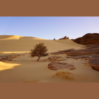 Seeing Him Who is Invisible