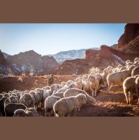 All that I Need, I Have