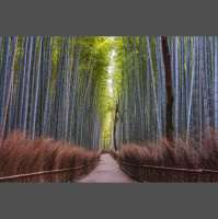 Renew: Expressing Christ’s Kingdom