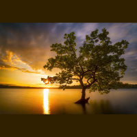 Renewing Mission: The Movement of True Love