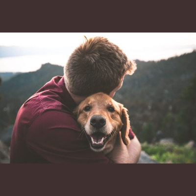 Hope Presbyterian Church In Winston-salem Sermons