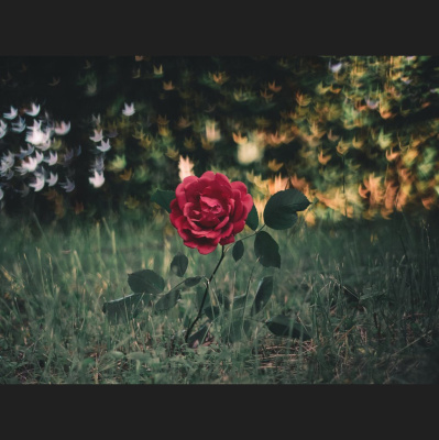 Hope Presbyterian Church In Winston-salem Sermons
