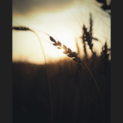 Hope Presbyterian Church In Winston-salem Sermons