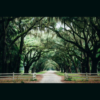 Hope Presbyterian Church In Winston-salem Sermons