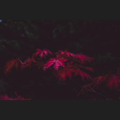 Hope Presbyterian Church In Winston-salem Sermons