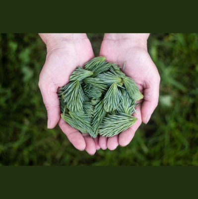 Hope Presbyterian Church In Winston-salem Sermons