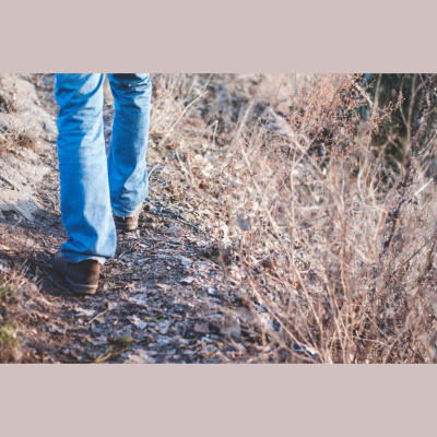 Hope Presbyterian Church In Winston-salem Sermons