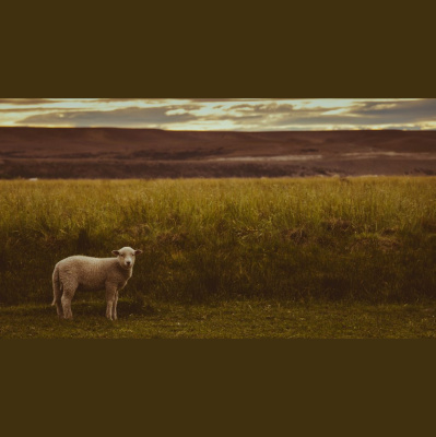 Hope Presbyterian Church In Winston-salem Sermons