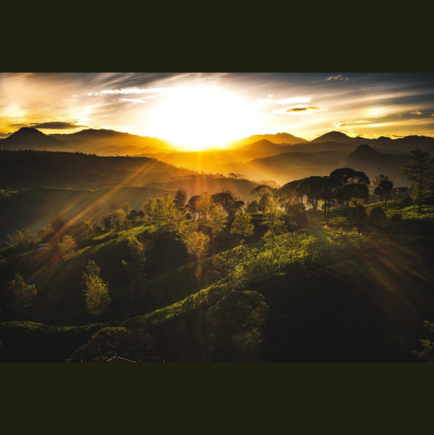 Hope Presbyterian Church In Winston-salem Sermons