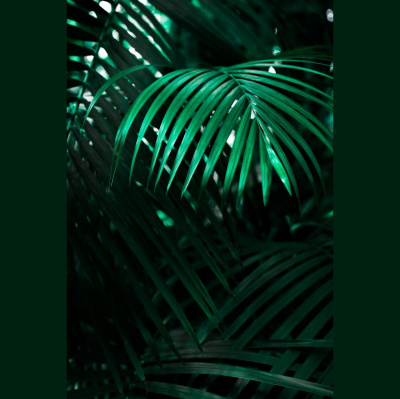 Hope Presbyterian Church In Winston-salem Sermons