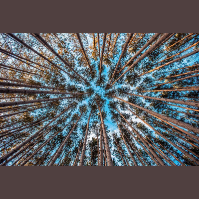 Hope Presbyterian Church In Winston-salem Sermons