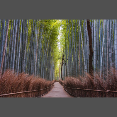 Hope Presbyterian Church In Winston-salem Sermons