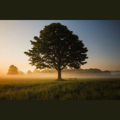 Hope Presbyterian Church In Winston-salem Sermons