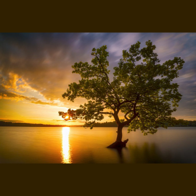 Hope Presbyterian Church In Winston-salem Sermons