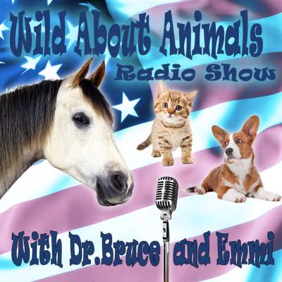 Podcast Wild About Animals Radio Show With Dr Bruce And Emmi