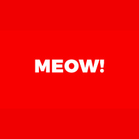 MEOW! A story about a cat and kittens