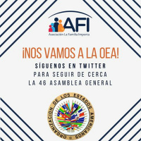 Declaración de la mesa de trabajo de la MUJER en la OEA