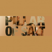 #0.2 Pillar of Salt (FTWD/s02e12)