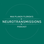 Max Planck Floridas Neurotransmissions Podcast