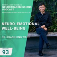 93. Neuro-Emotional Well-Being with Kuan Hong Wang