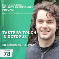 79. Taste by Touch in Octopus with Nicholas Bellono