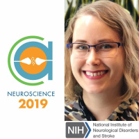 55- SfN 2019: NINDS Building Up the Nerve with Dr. Lauren Ullrich