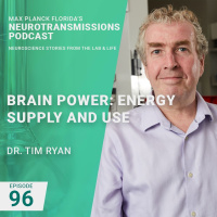 96. Brain Power: Understanding the Brains Energy Supply and Use with Dr. Tim Ryan