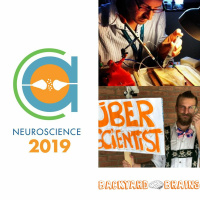 53- SfN 2019: Backyard Brains with Drs. Greg Gage and Etienne Serbe
