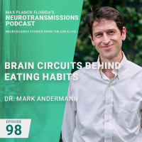 98. Brain Circuits Behind Eating Habits With Dr. Mark Andermann