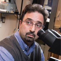 #18: Smart cerebellums and career decisions with Dr. Kamran Khodakhah