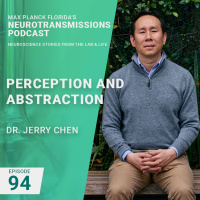 94. Perception And Abstraction With Jerry Chen