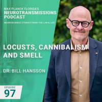 97. Locusts, Cannibalism And Smell with Dr. Bill Hansson