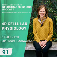 91. 4D-Cellular Physiology with Jennifer Lippincott-Schwartz