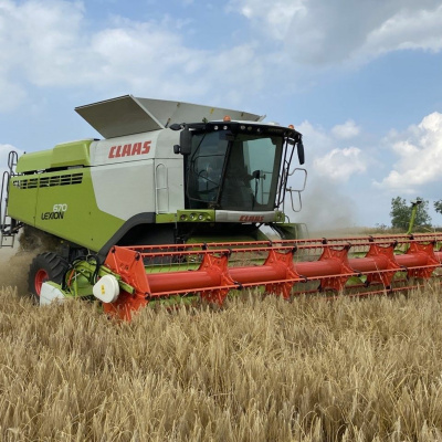 Rgs-ibg Ask The Experts