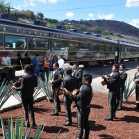 Tequila, el Pueblo Mágico que suena a mariachi