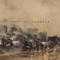 Yhdessä osa 2 - Sisäisesti vahva